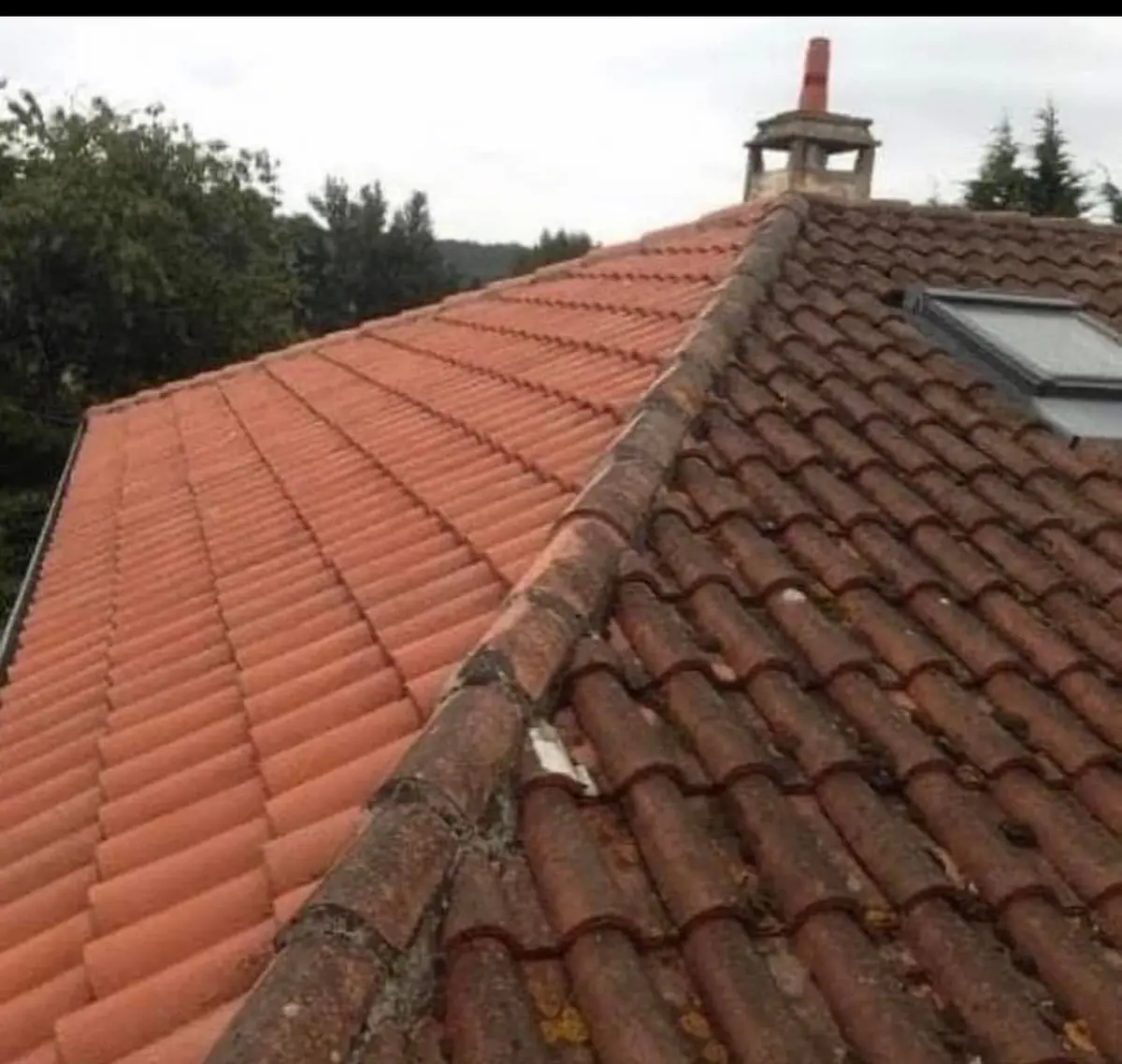 Toiture en tuile canal avec une fenêtre de toit et une souche de cheminée, haie et arbres autour