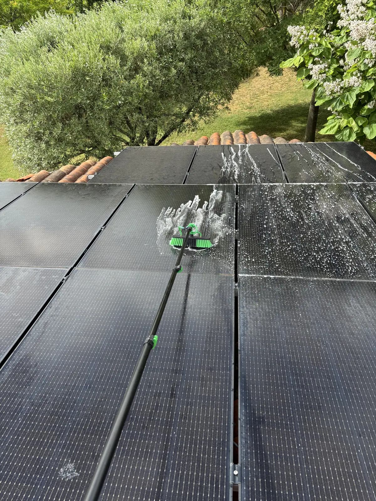 Brosse télescopique et jet d'eau sur des panneaux photovoltaïques en toiture, olivier en contrebas